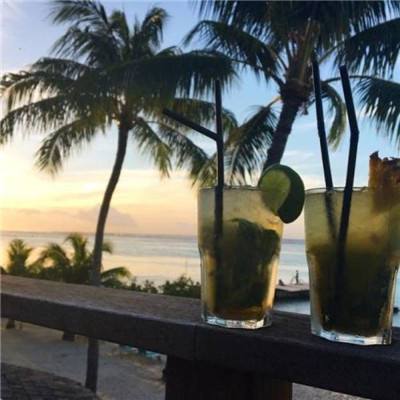 完美电竞平台app下载