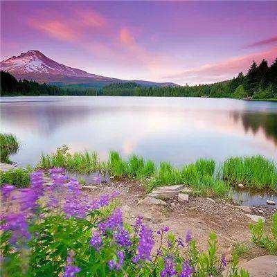 乐鱼app(中国体育)官方网站下载手机版