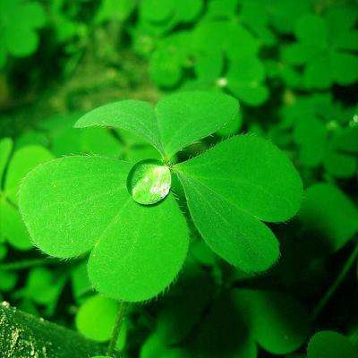 722cc彩票app下载