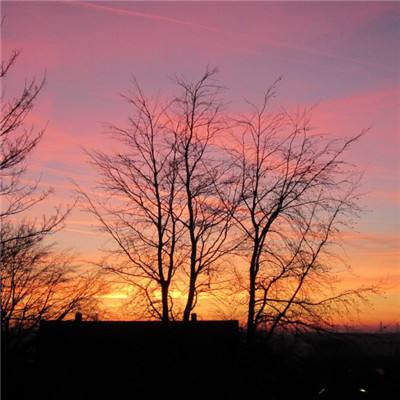 新乐动体育app下载官网