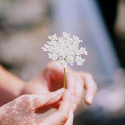 leyu乐鱼·体育手机app下载