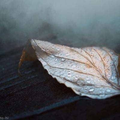 LOL外围官网下载手机版