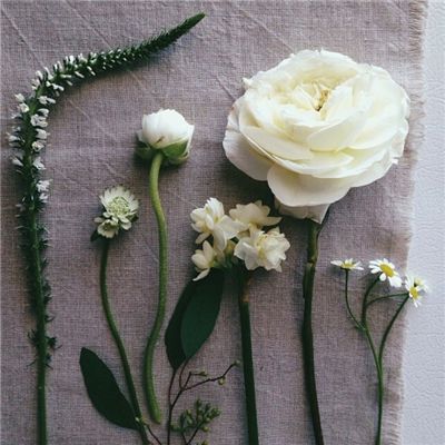 kok最新客户端app下载