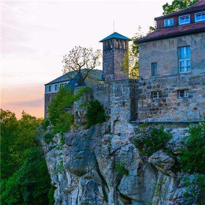 大四喜下载手机版