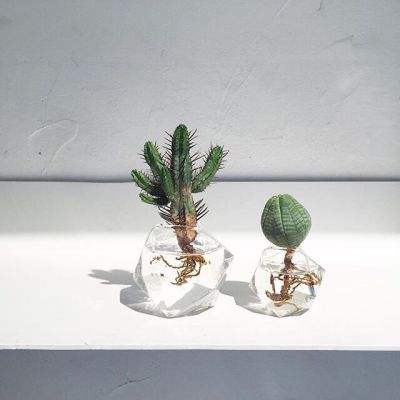 凯时ag旗舰厅-登录入口