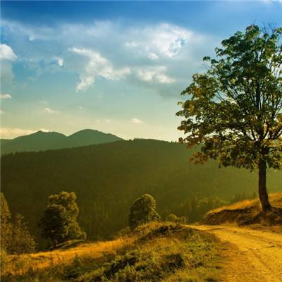 2023澳门资料大全正版