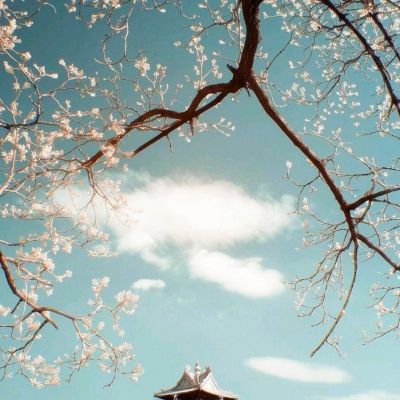 安博体育的最新版本手机app下载