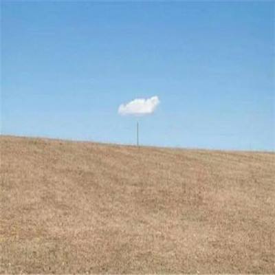 万博体育最新下载链接