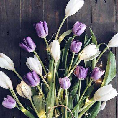 BET体育365投注官网