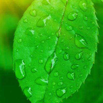 全民彩票app下载