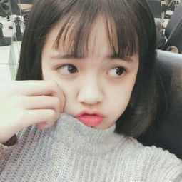 凤凰彩票平台下载app下载