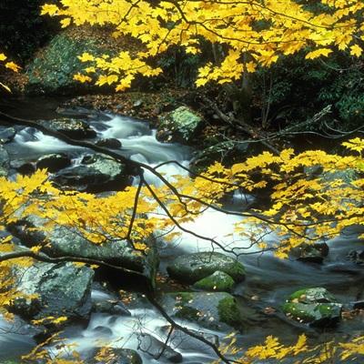 南宫28官网入口下载