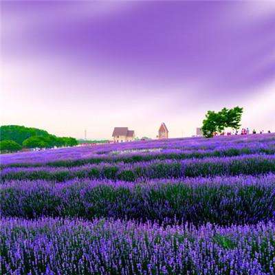 亚搏娱乐app官网下载