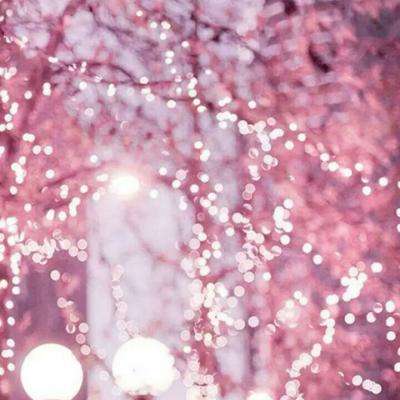 云开·全站APP登录入口