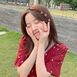 bob手机网页版登录入口