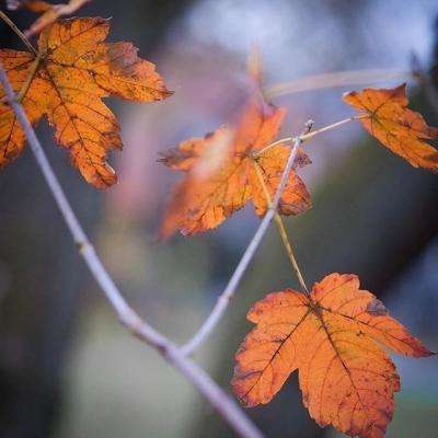 hth会体会官方网页版