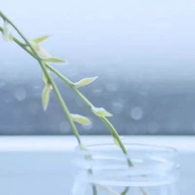 万博体育最新下载链接