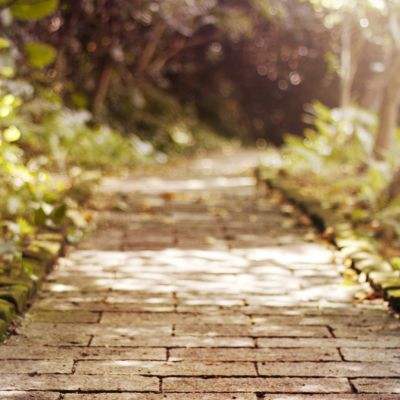 乐鱼体育手机app下载